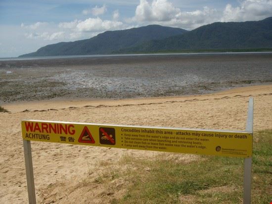  Cairns  