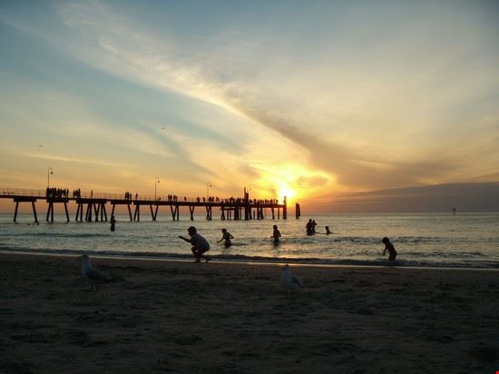  Adelaide  