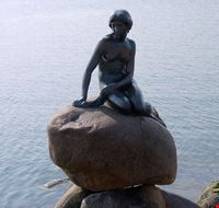 copenaghen statua della sirenetta nel porto di copenaghen copenaghen statua della sirenetta nel porto di copenaghen