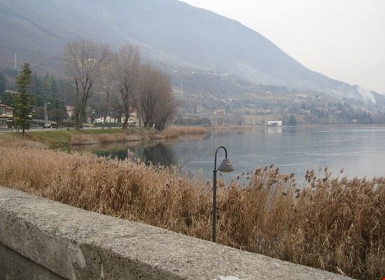  Spinone al Lago  
