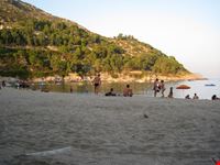 Fetovaia