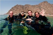 dahab mirage divers tauchgruppe