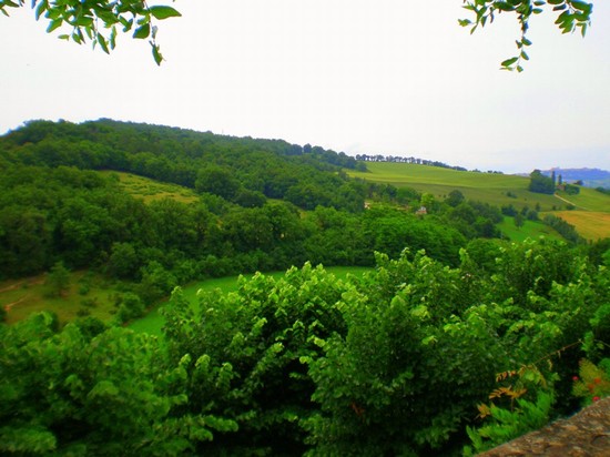 La bellezza della campagna