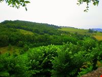 La bellezza della campagna