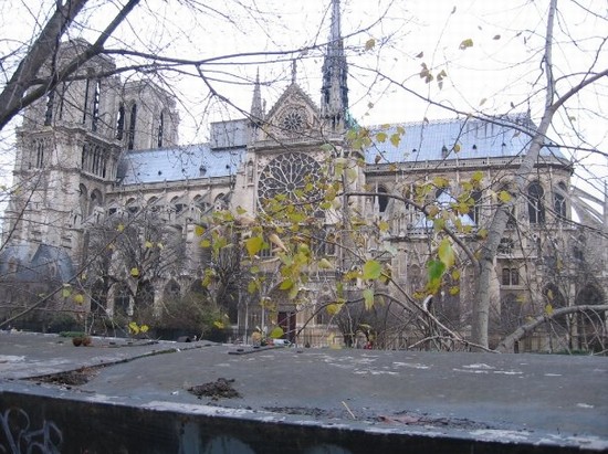 Notre Dame