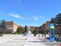universita di medicina madrid