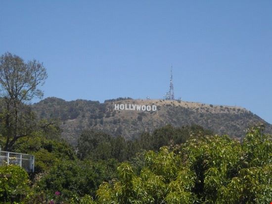  Hollywood  