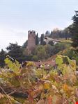 bozen burgruine treuenstein