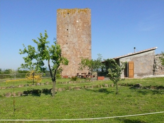 Il lavoro nei campi