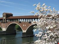PAVIA