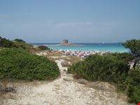La Pelosa