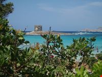 La torre della Pelosa