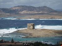 La torre della Pelosa sotto il maestrale
