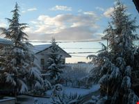 Neve