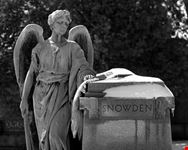 memphis elmwood cemetery