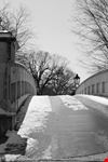 memphis elmwood cemetery