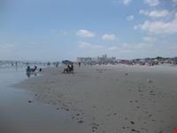 new york lido beach
