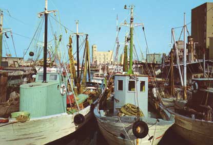 Porticciolo