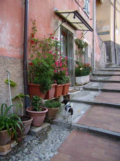 LERICI