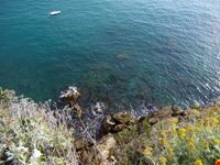Lerici