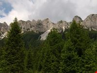 Misurina