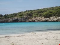 minorca minorca
