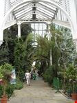Kew Gardens Interno della Palm House