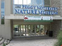 chicago peggy notebaert nature museum