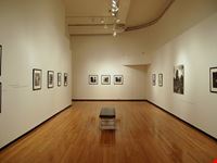 chicago museum of contemporary photography
