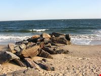 new york brighton beach
