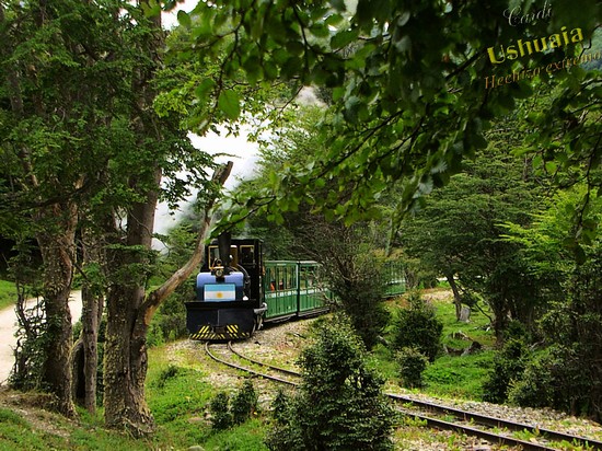 tren del fin del mundo ushuaia