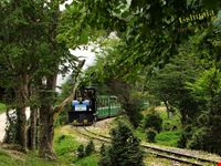 tren del fin del mundo ushuaia