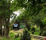 tren del fin del mundo ushuaia tren del fin del mundo ushuaia