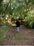 Il bosco sacro