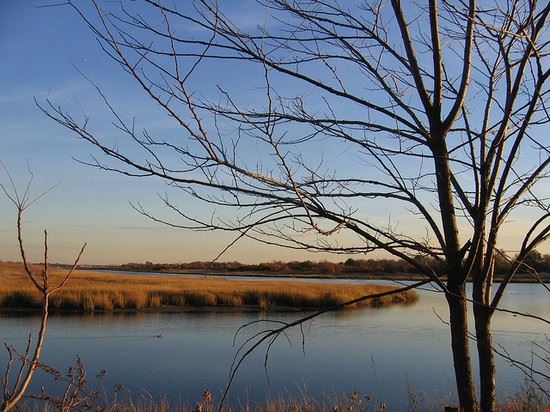  Brooklyn Creative Commons - Anne Marie Hughes Creative Commons