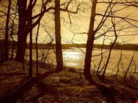 Pelham Bay Park