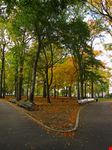 Pelham Bay Park