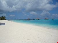maldive