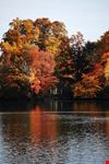 Prospect Park