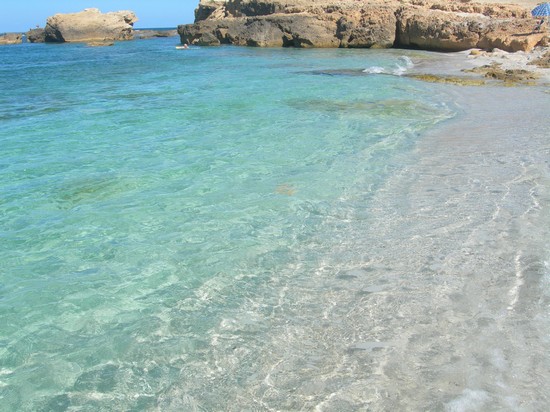 Is Arenas