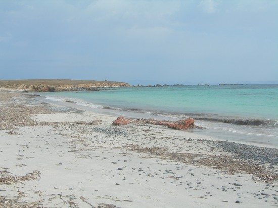 Isola di Mal di Ventre