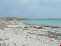Isola di Mal di Ventre