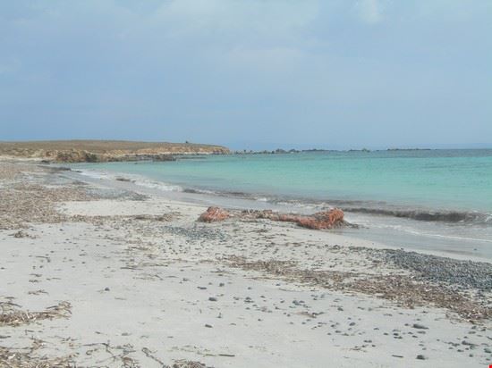  Isola di Mal di Ventre  