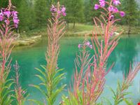 lac bleu