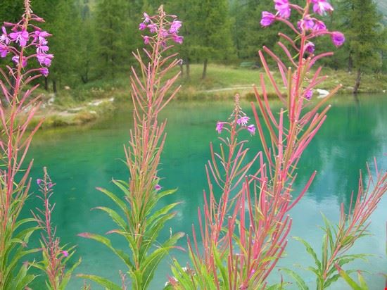  Lago blu  