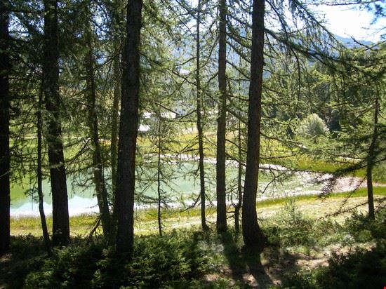  Pineta, Chamois  