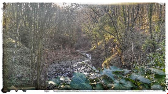 Mulazzo Dal guado sul torrente mangiola, ai piedi di Milazzo, lungo il percorso trekking che conduce a Montereggio( Paese dei Librai) si raggiunge il Ponte della Groppa Pro Loco Mulazzo Pro Loco Mulazzo