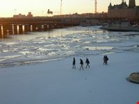 Lago Malaren
