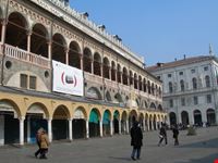 Tribunale