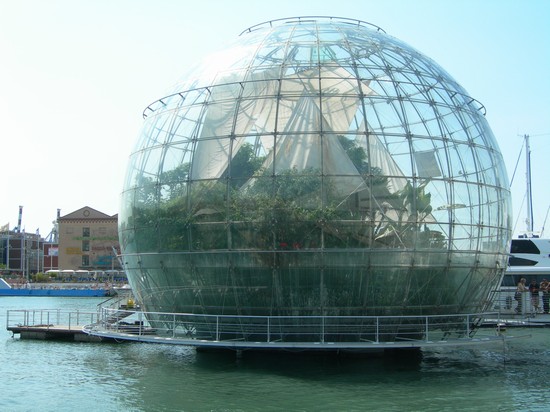 Biosfera